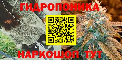 стафф Бугуруслан