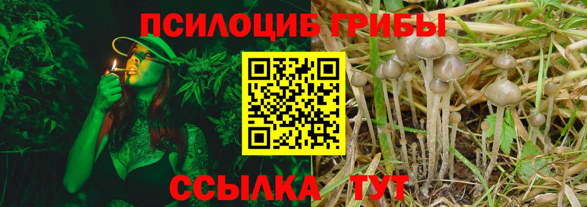 Галлюциногенные грибы Cubensis  Вход с VPN  Севастополь 