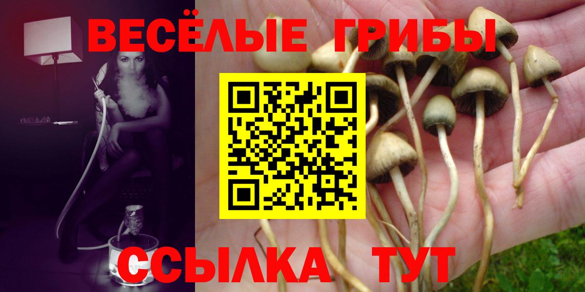 Псилоцибиновые грибы Psilocybe Севастополь