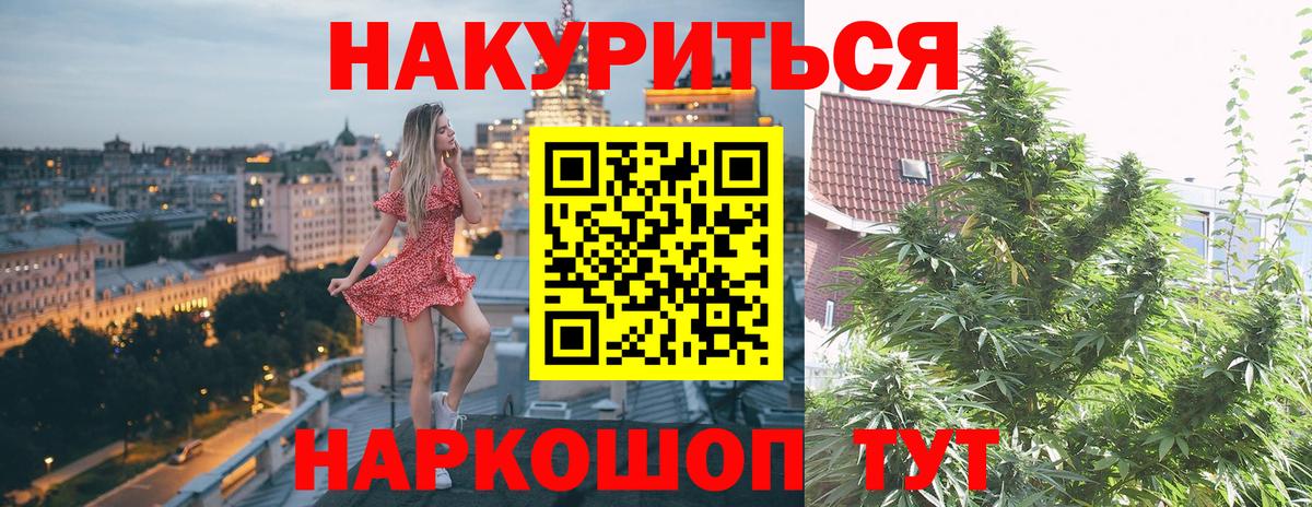 Конопля конопля Севастополь